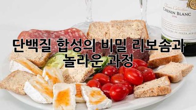 단백질 합성의 비밀: 리보솜과 놀라운 과정